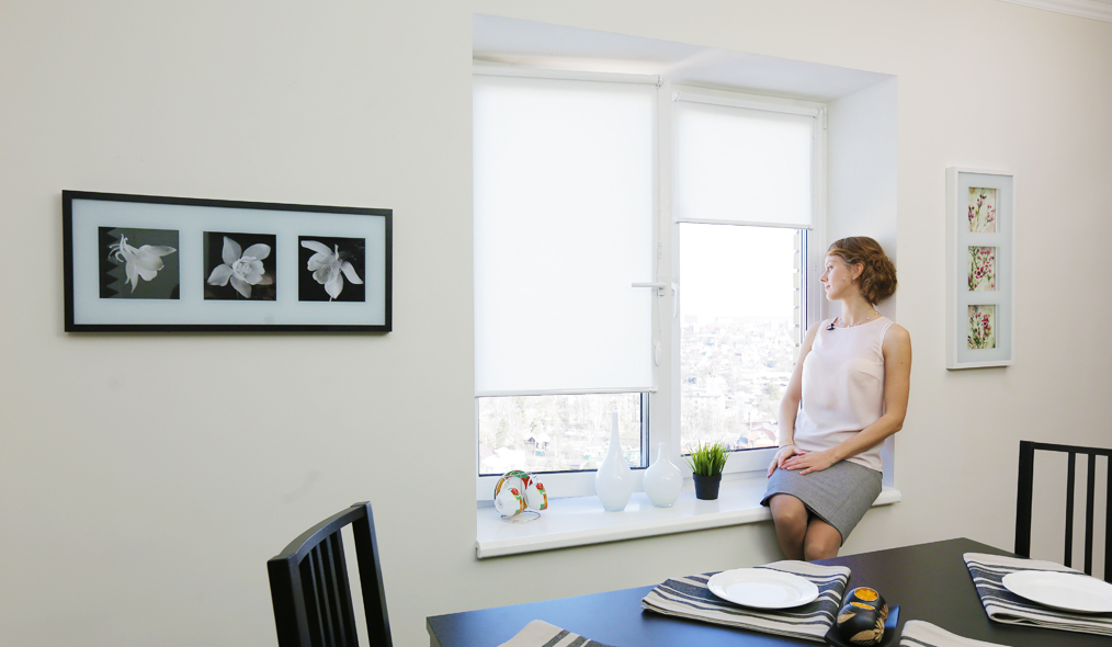 Штора рулонная INTEGRA SLIM MINI 64,6×150, упр.слева Штора рулонная INTEGRA SLIM MINI 64,6×150, упр.слева