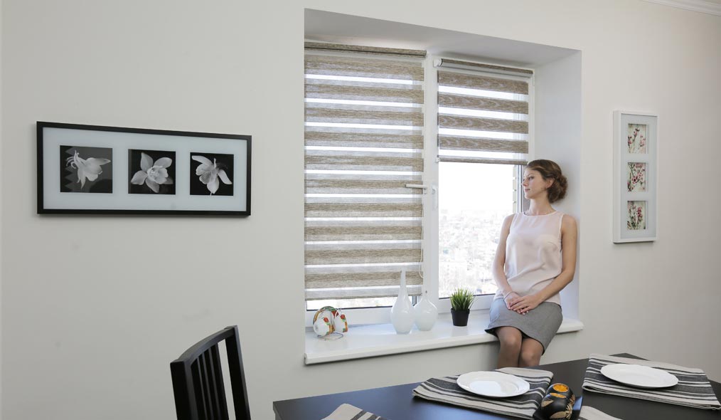 Штора рулонная INTEGRA SLIM DUO, упр. справа Штора рулонная INTEGRA SLIM DUO, упр. справа