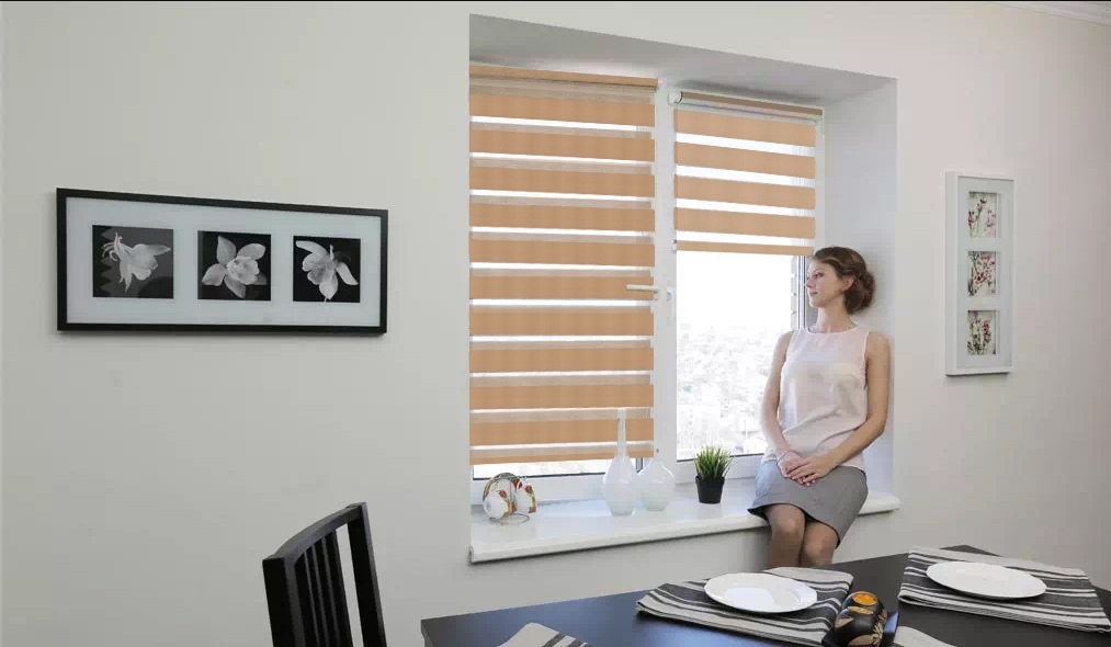 INTEGRA SLIM DUO | РУЛОННЫЕ ШТОРЫ INTEGRA SLIM DUO | РУЛОННЫЕ ШТОРЫ