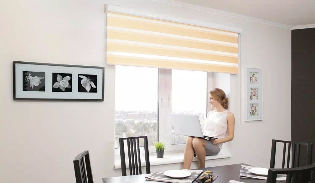 GRANDE BOX DUO | РУЛОННЫЕ ШТОРЫ ЗЕБРА GRANDE BOX DUO | РУЛОННЫЕ ШТОРЫ ЗЕБРА